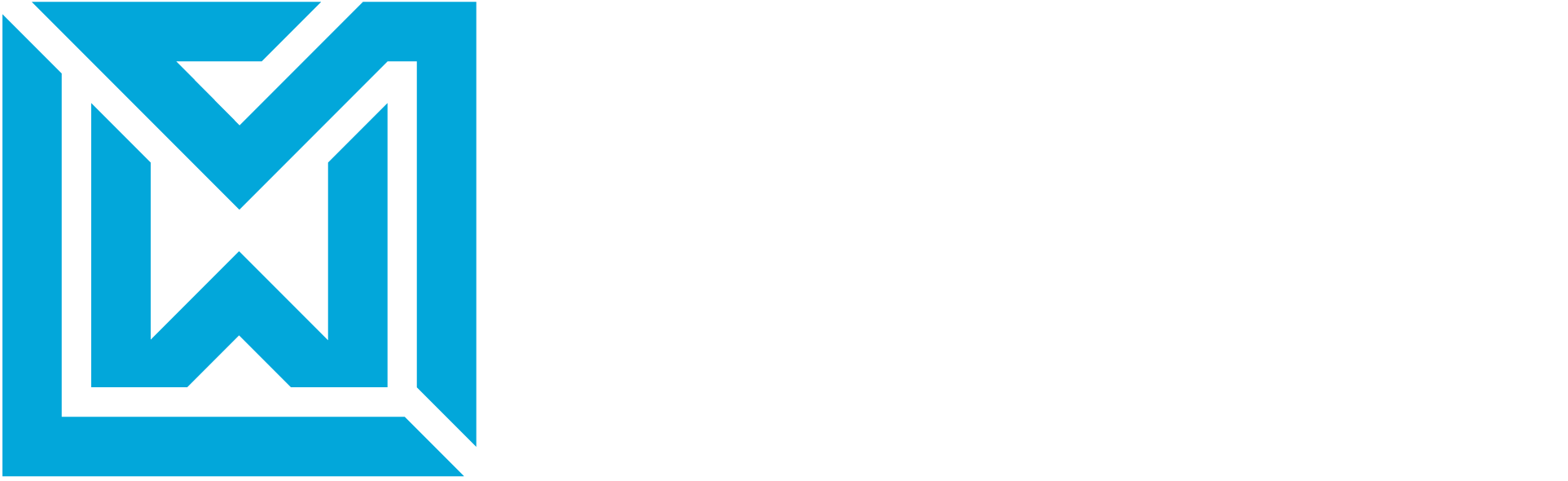 Live Web Studios